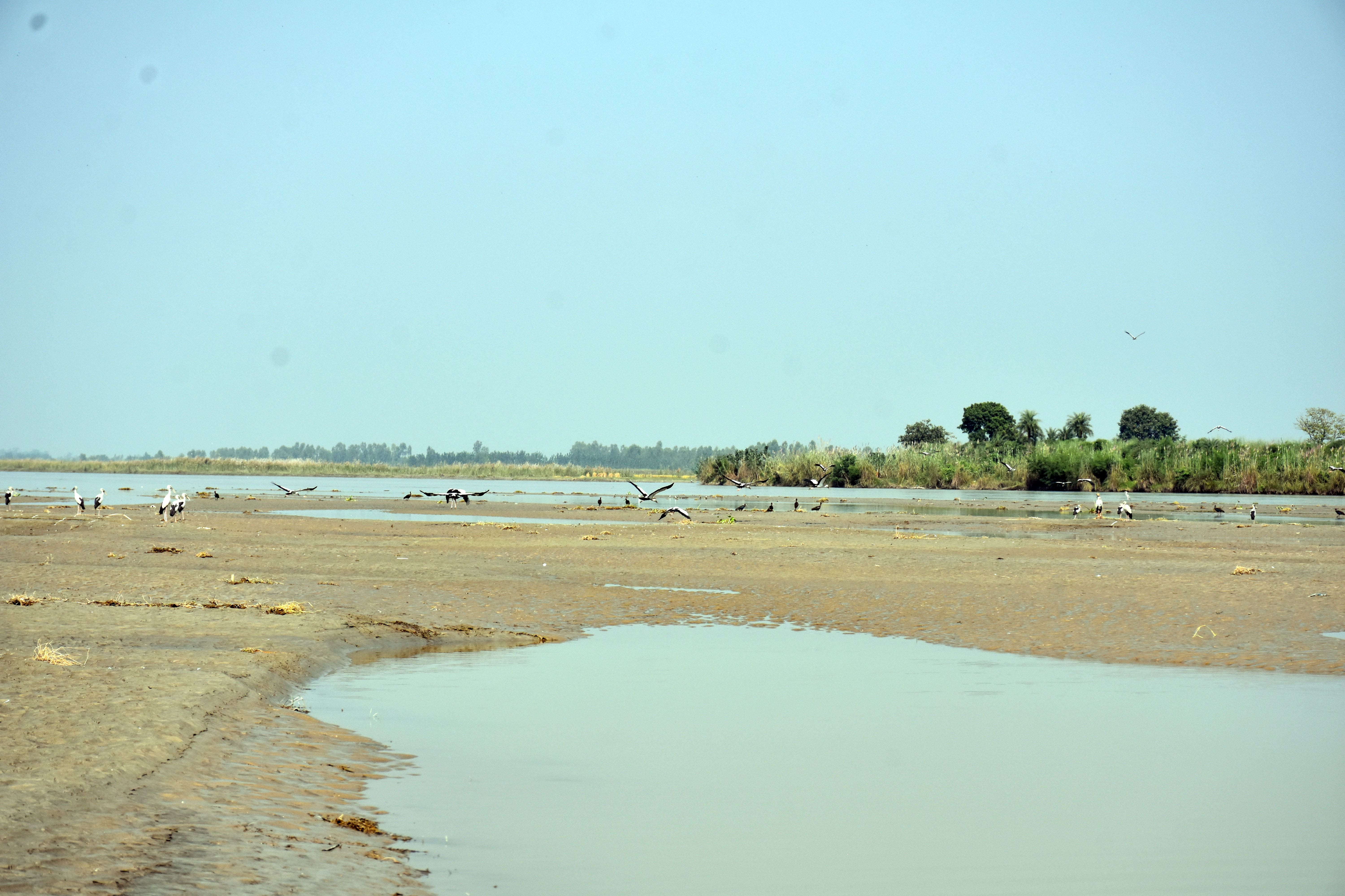 Birds Watching in Garhganga