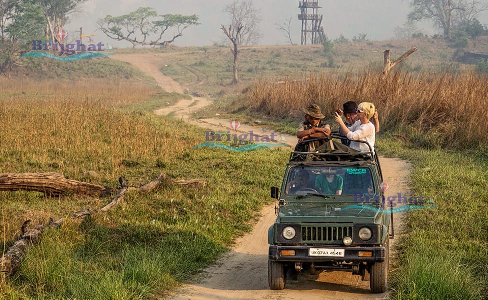 Jungle Safari in Garhganga